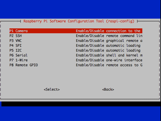 raspi-config select intercace